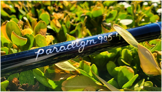 Paradigm rod