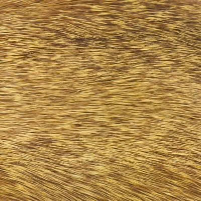 Natures Spirit Stimulator Deer Hair