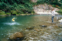 Thomas & Thomas Exocett 88