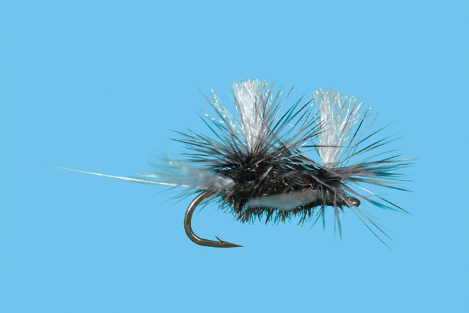 Cluster Midge – Pheasant Tail Fly Fishing