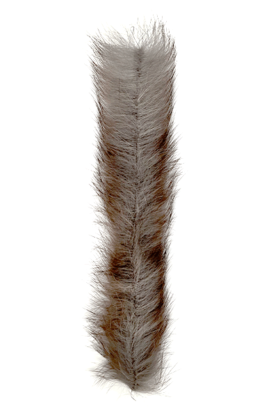 MFC Bunny Brush