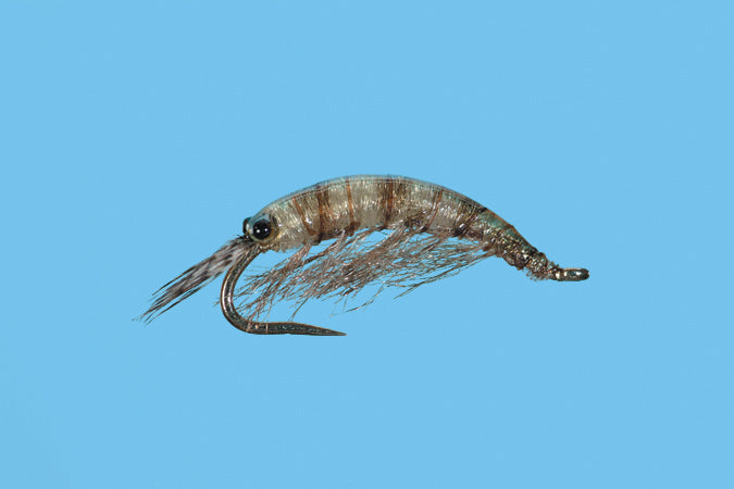 Ultra Scud