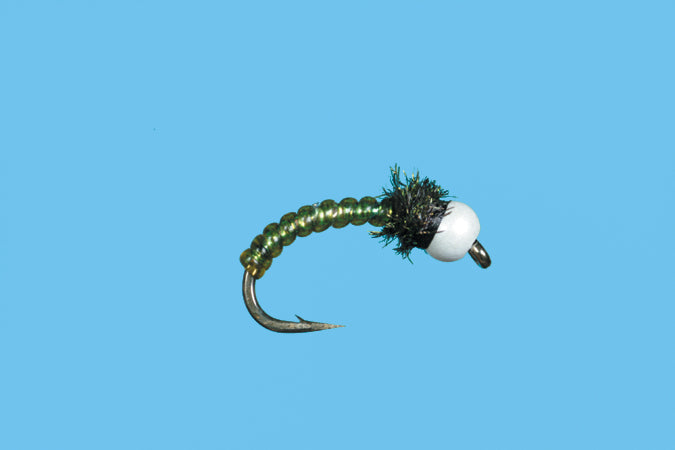 Chironocone