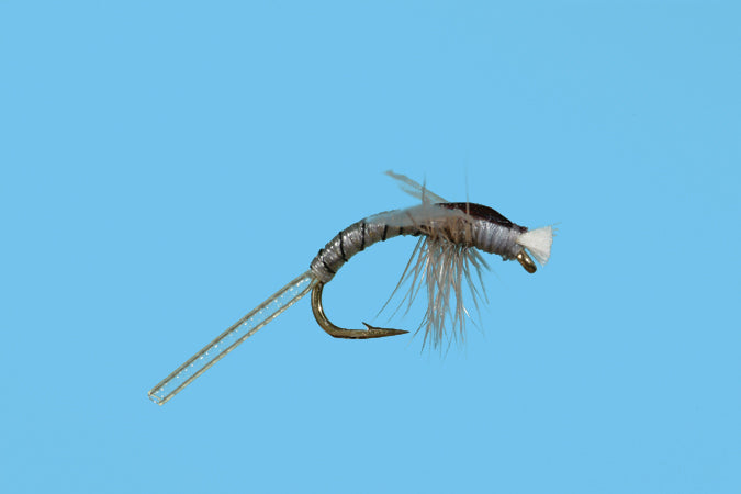 Stalcup Hatching Midge