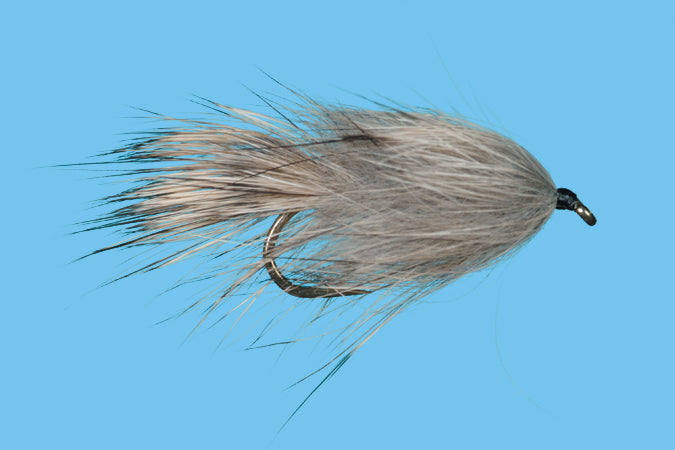 Bunny Leech