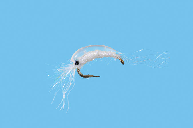 BTS Mysis Shrimp
