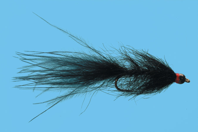 Bead Head Hale Bopp Leech
