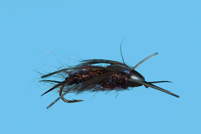 Conehead Stonefly