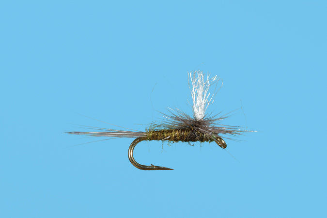 Parachute Midge