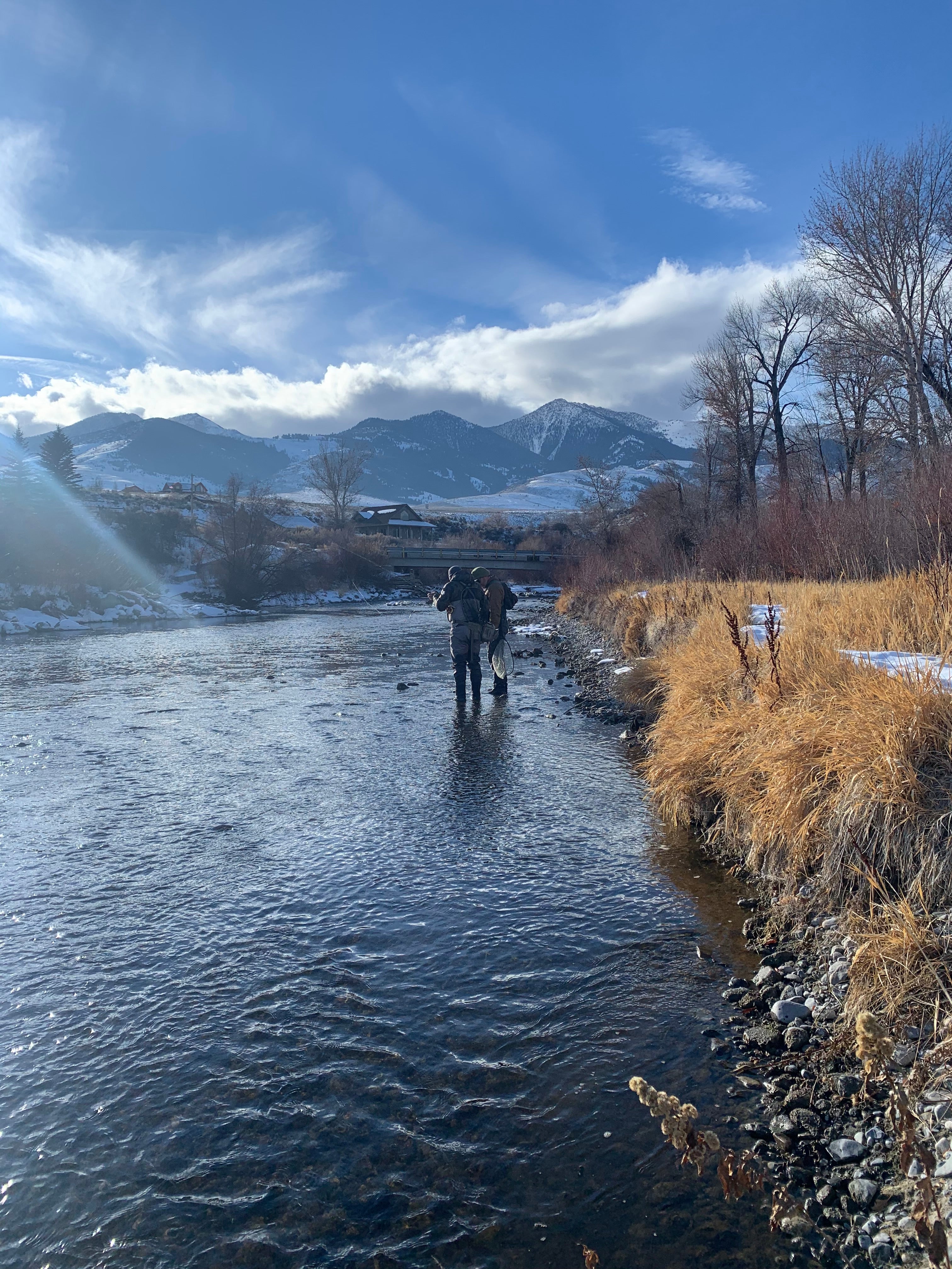 Best Gear for Fly Fishing Arizona,