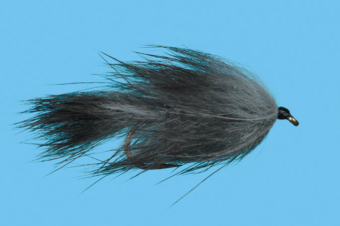 Bunny Leech