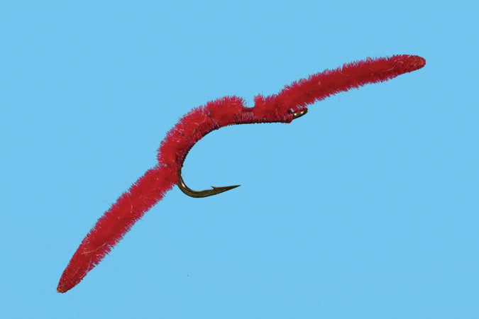 San Juan Worm
