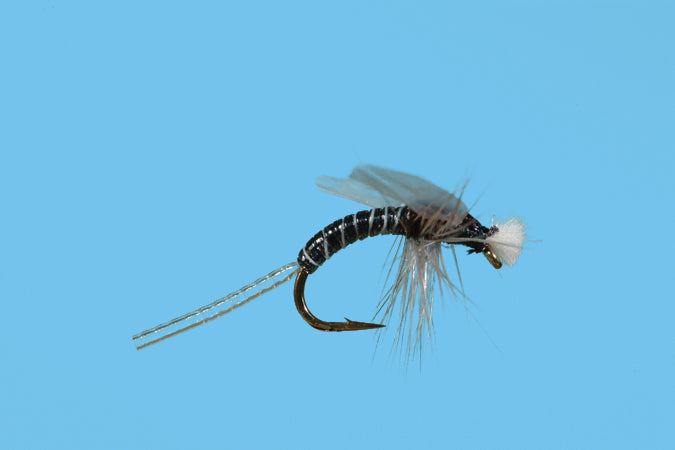 Stalcup Hatching Midge