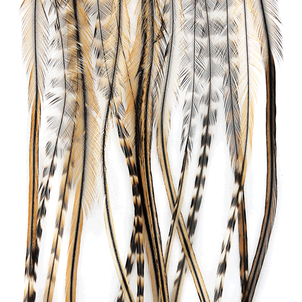 MFC Whiting Hackle 100 pack