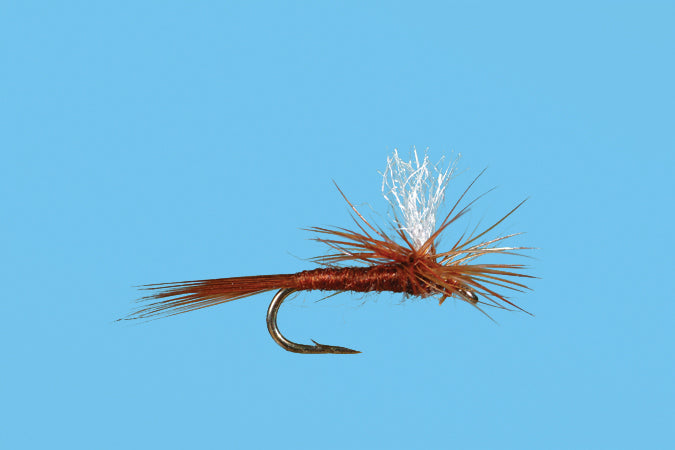Parachute Midge