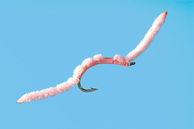 San Juan Worm