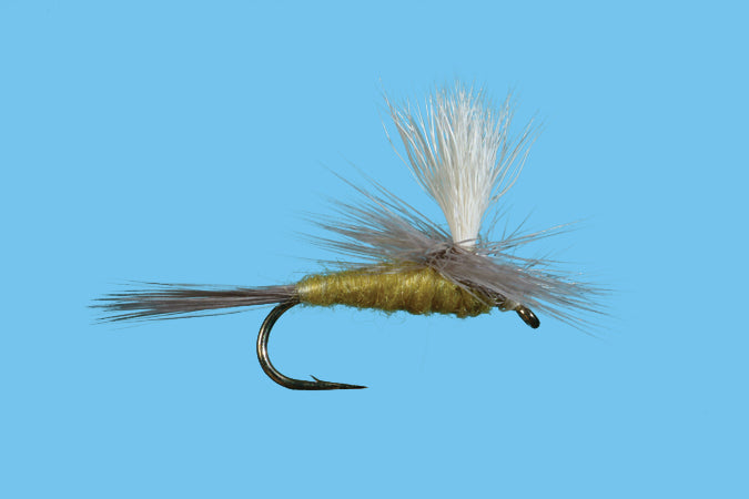 Parachute Adams
