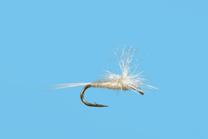 Parachute Midge