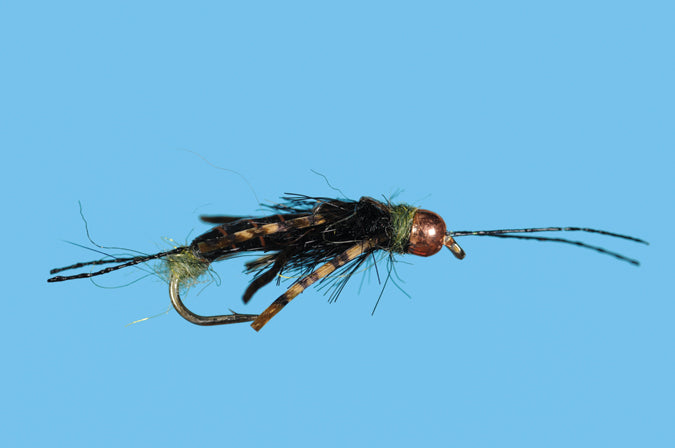 Tungsten Terminator Stonefly Nymph