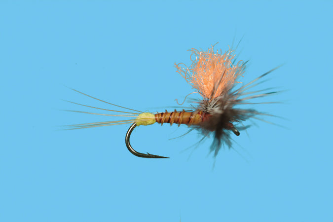 Hi-Vis Spinner