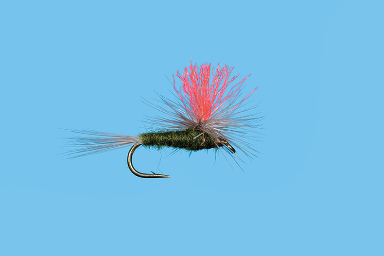 Hi-Vis Spinner