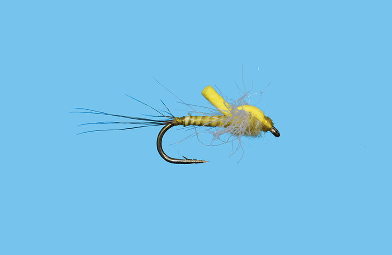 C-Um Spinner