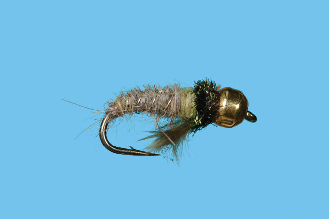 Tungsten Caddis Larva