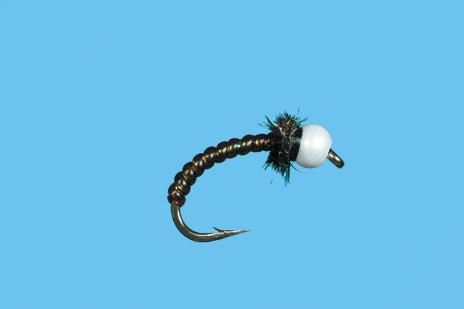 Chironocone