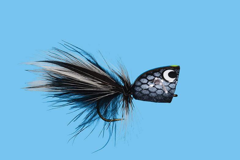 Popper