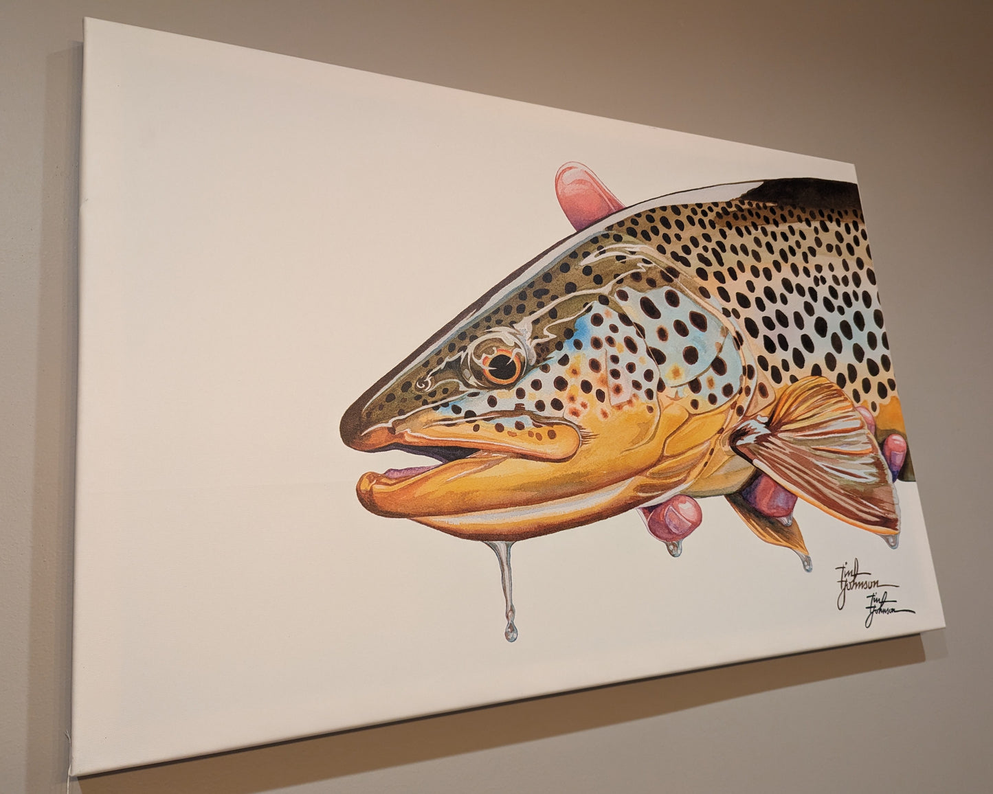 Tim Johnson Print