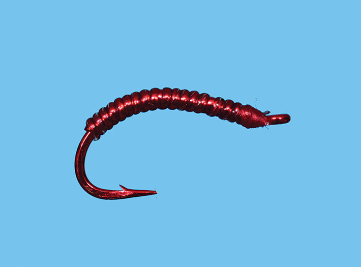 Sparkle Worm