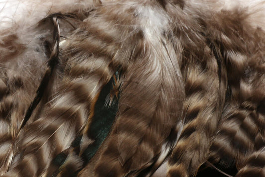 Hareline Barred Variant Schlappen 5-7"