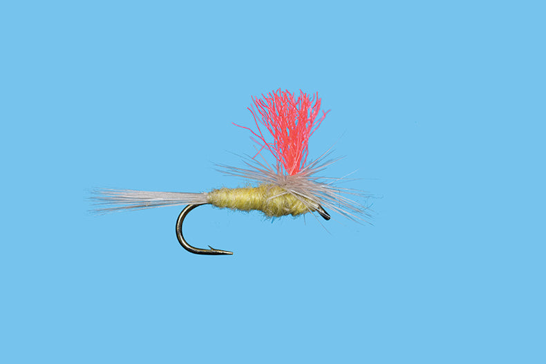 Hi-Vis Spinner