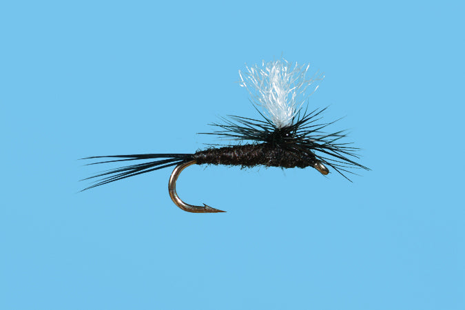 Parachute Midge
