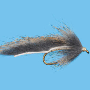 Squirrel Leech