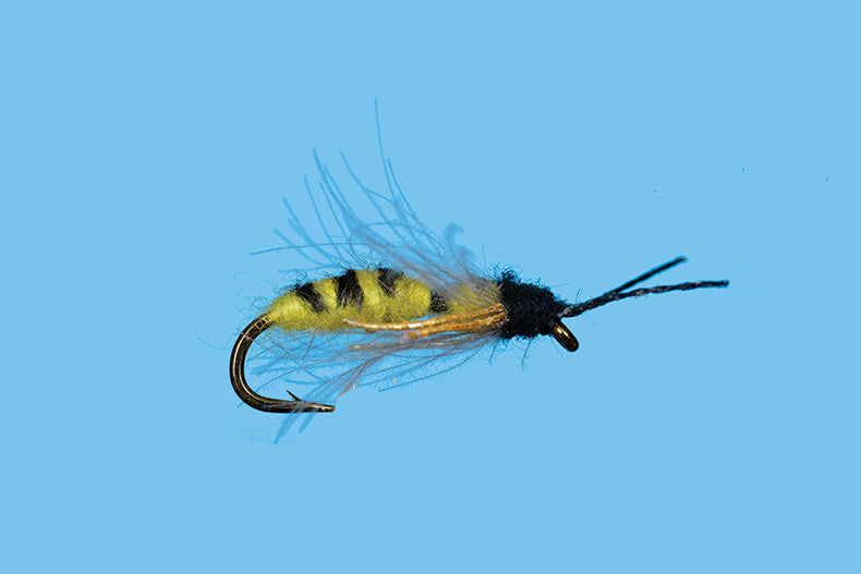 Drowning Yellow Jacket