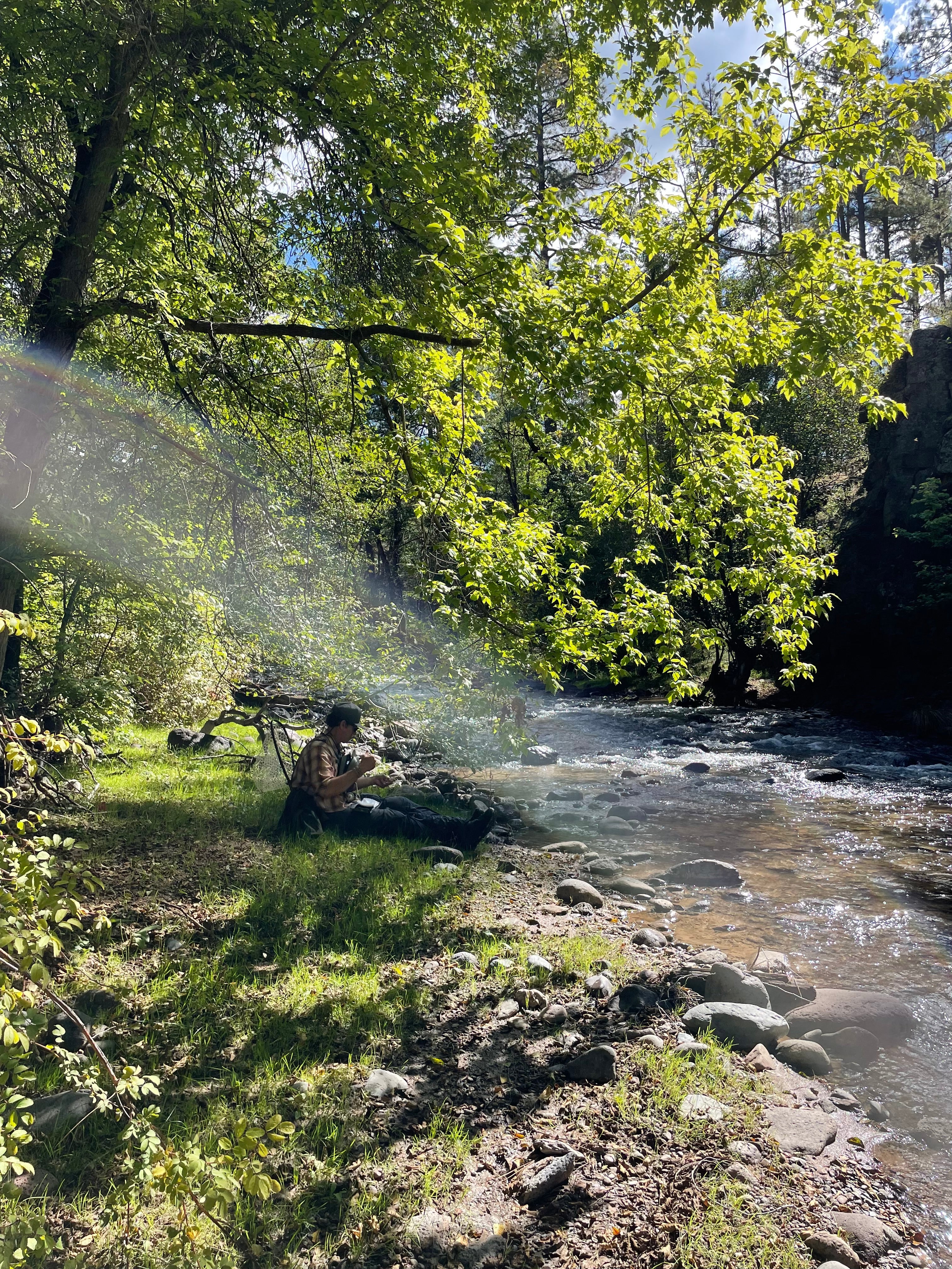 Fly Fishing Arizona, Fly Fishing White Mountains