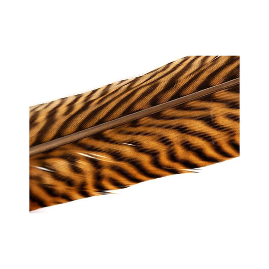 Wapsi Ringneck Tail Feathers