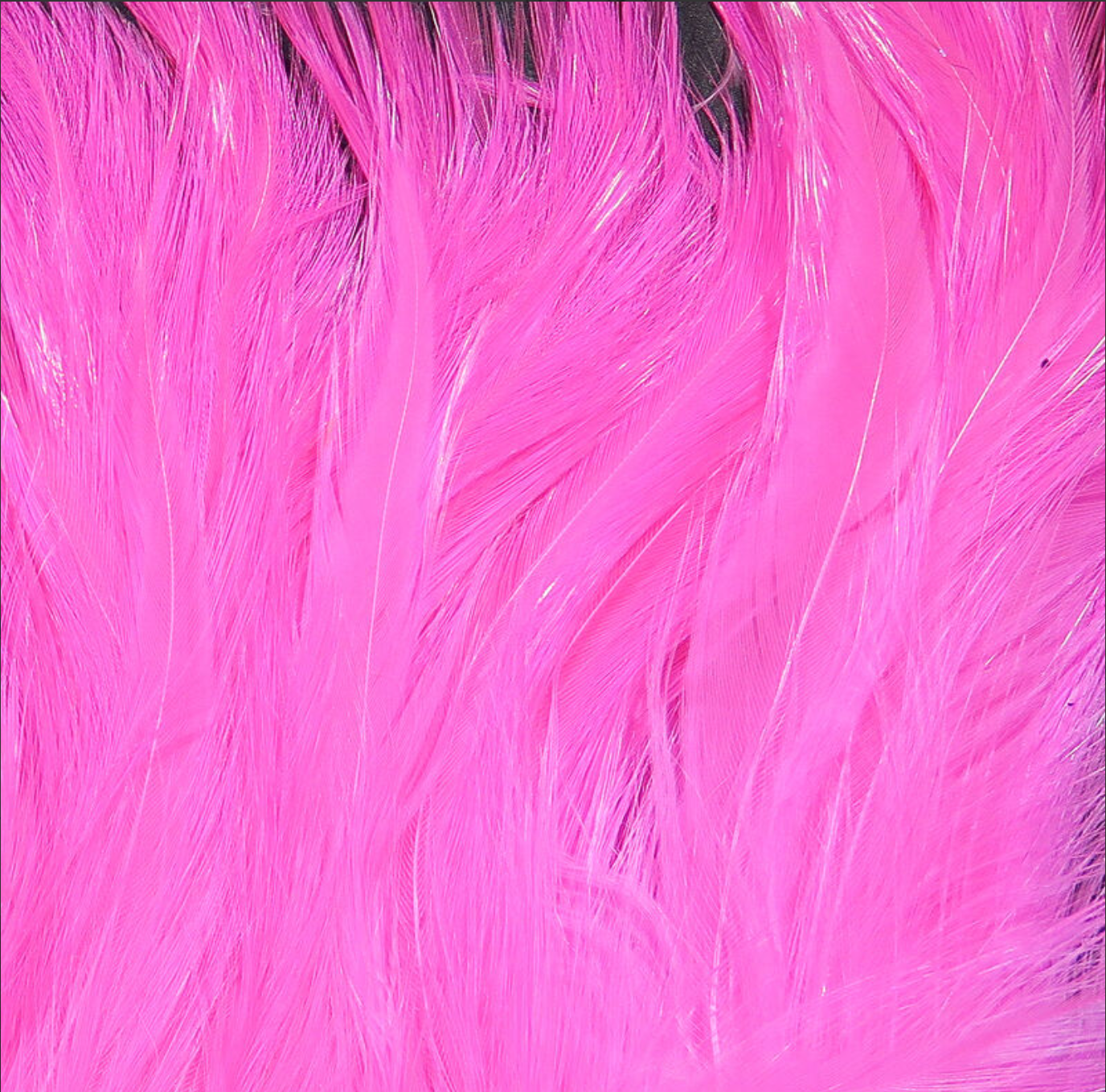 Saltwater Neck Hackle