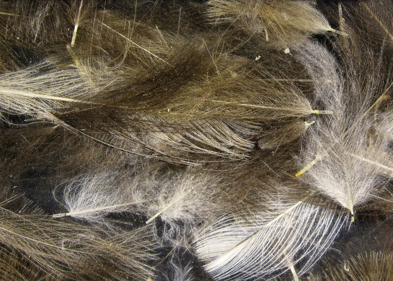 Hareline Cul De Canard (CDC)