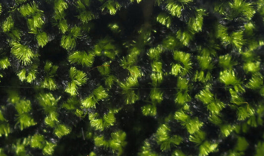 Hareline FFF’s Stonefly Chenille