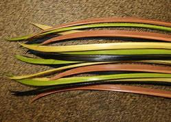 Natures Spirit Turkey Biot Strip