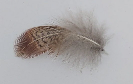 Wapsi Loose Partridge Feathers