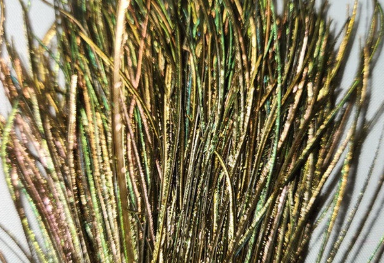 Natures Spirit Strung Peacock Herl