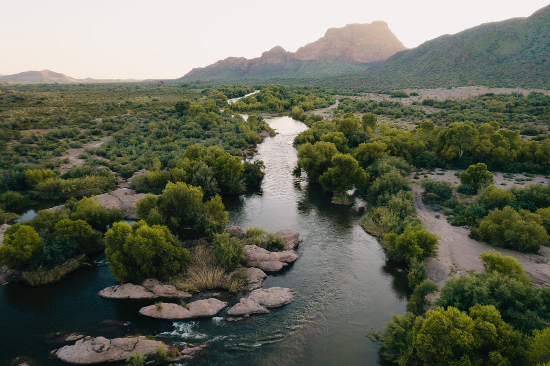 February  fishing in Arizona