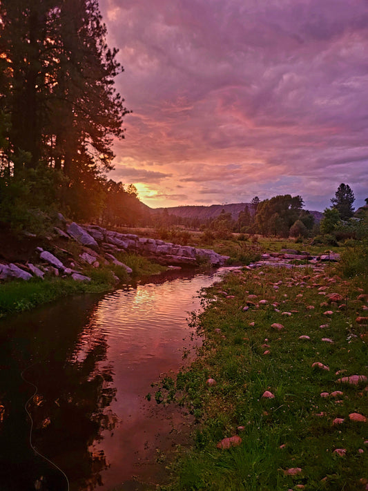 May fishing in Arizona