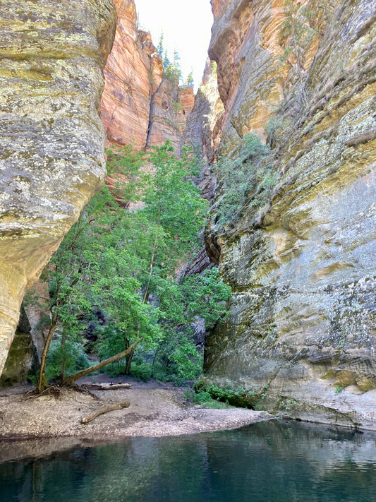 August fishing in Arizona