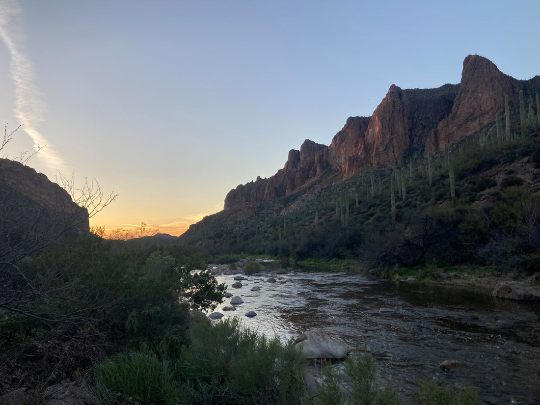 Arizona March Fishing Report - Rivers, Lakes, and Streams – Pheasant ...