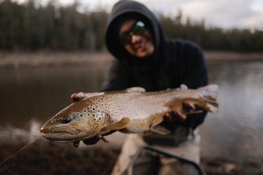 January fishing in Arizona