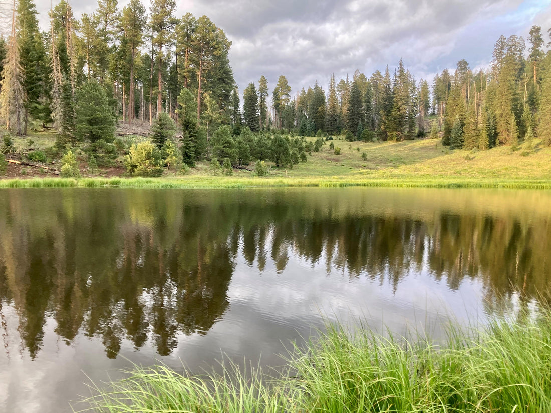 June fishing in Arizona